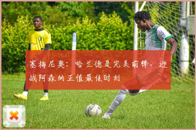塞梅尼奥：哈兰德是完美前锋，迎战阿森纳正值最佳时刻